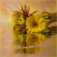 Floral Reflections - Alana Starkweather